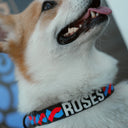 Collier pour chien – ROSES FC x Kargo Empire