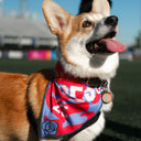 Foulard pour chien – ROSES FC x Kargo Empire