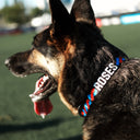 Collier pour chien – ROSES FC x Kargo Empire